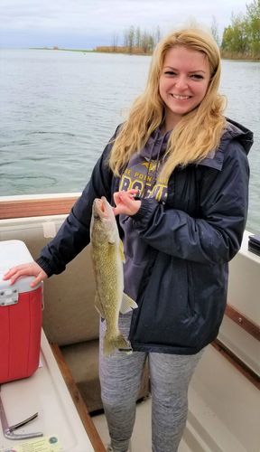 Charter Fishing On Saginaw Bay